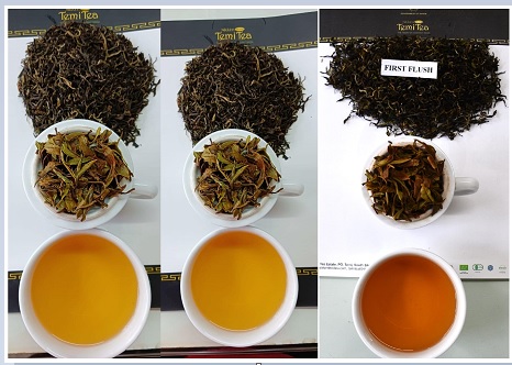 Temi Tea First Flush fetched Rs 10,250