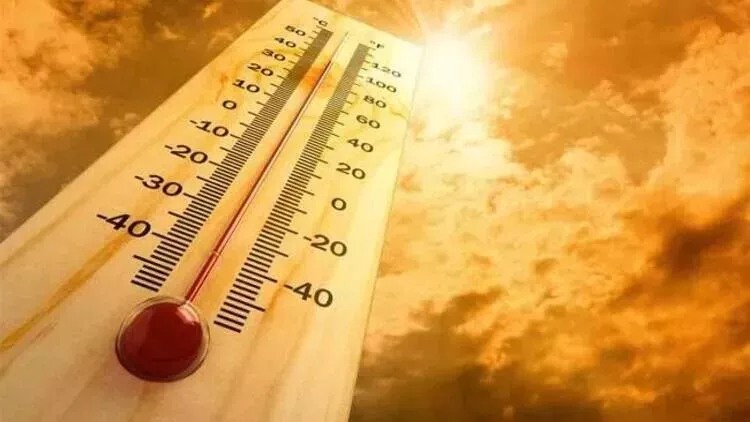 Heat Stroke : 11 People Died, 20 Others Rushed To Hospital in Navi Mumbai event on Sunday