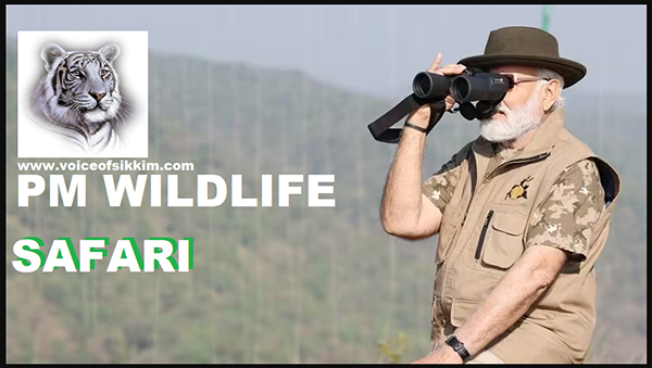 PM Takes On Wildlife 'Safari' , Commemorating 50 Years of "Project Tiger"