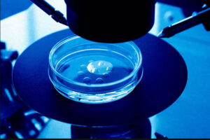 The first babies ever created using a 'sperm-injecting robot' have been reportedly born