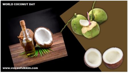 World Coconut Day 2023: Benefits, Importance and Stats Of Amazing Fruit