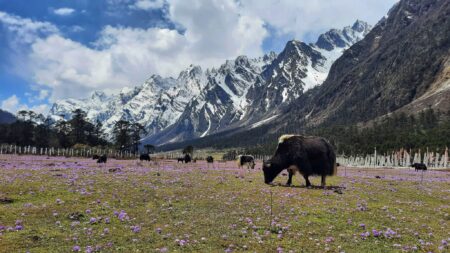Good News : 'North Sikkim Is Now Open For Tourists and Visitors'