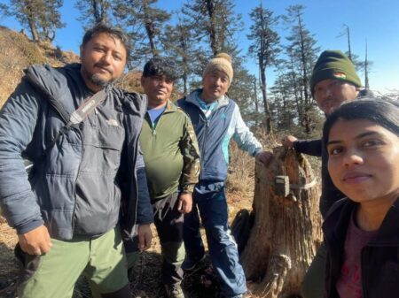 Highest-Elevated Tiger Sighting In India Recorded In Sikkim