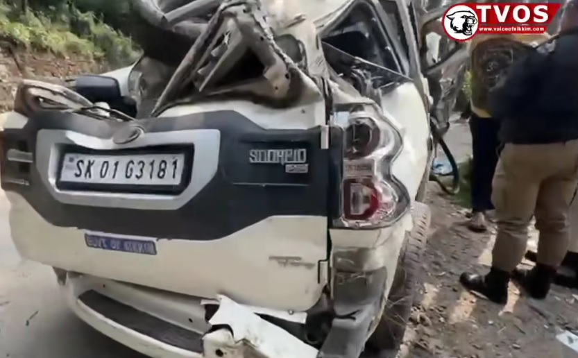Government Scorpio Vehicle Involved in Accident; Driver Sustains Injuries