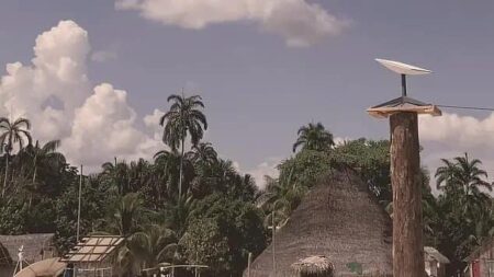 Indigenous Amazon Tribe Gets Internet From Elon Musk's Starlink, Check What Happened Next
