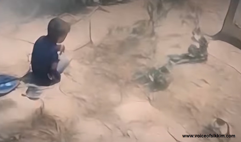 Heart-Wrenching Video of a Child Sitting Beside His Mother’s Grave