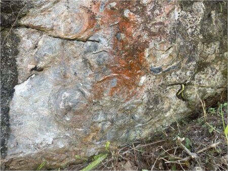 CM PS Golay Celebrates Discovery of 1.5-Billion-Year-Old Fossil, Announces Plans for World-Class Fossil Theme Park