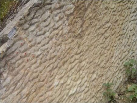 CM PS Golay Celebrates Discovery of 1.5-Billion-Year-Old Fossil, Announces Plans for World-Class Fossil Theme Park