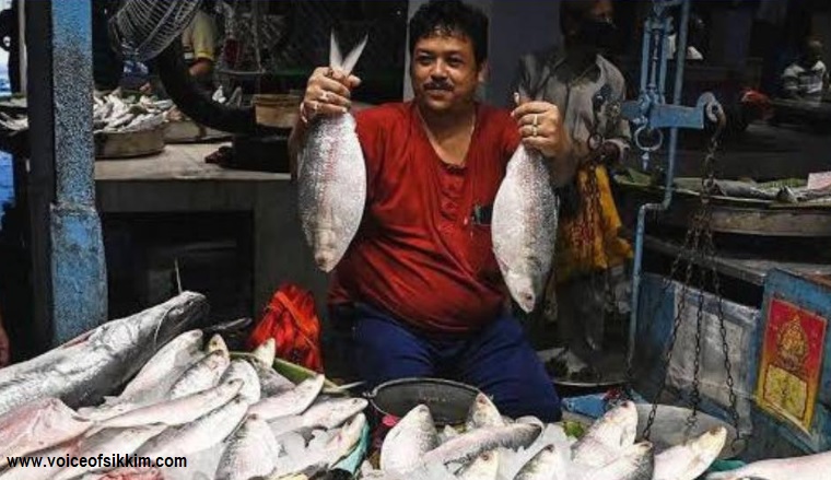 Bangladesh Lifts Hilsa Export Ban, Allows 3,000 Tonnes for India Ahead of Durga Puja