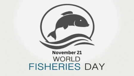 CM Prem Singh Tamang-Golay Highlights Fisheries' Role on World Fisheries Day 2024 CM Prem Singh Tamang-Golay Highlights Fisheries' Role on World Fisheries Day 2024