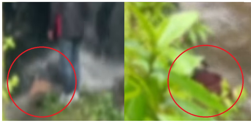 Bodies of Government Engineer and Another Man Found in Soreng Stream