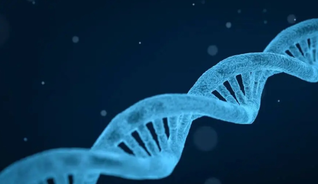 Scientists Closer To Drug For Extending Human Lifespan ?