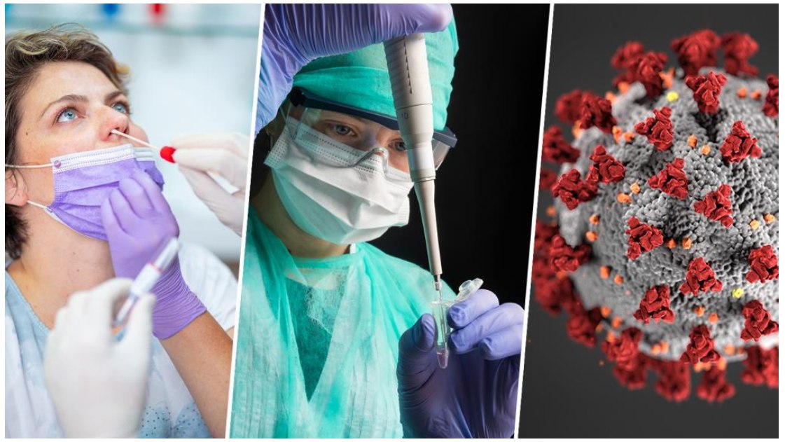 Fresh Spike in COVID-19 Cases in Northeast; Sikkim Reports Four New Infections