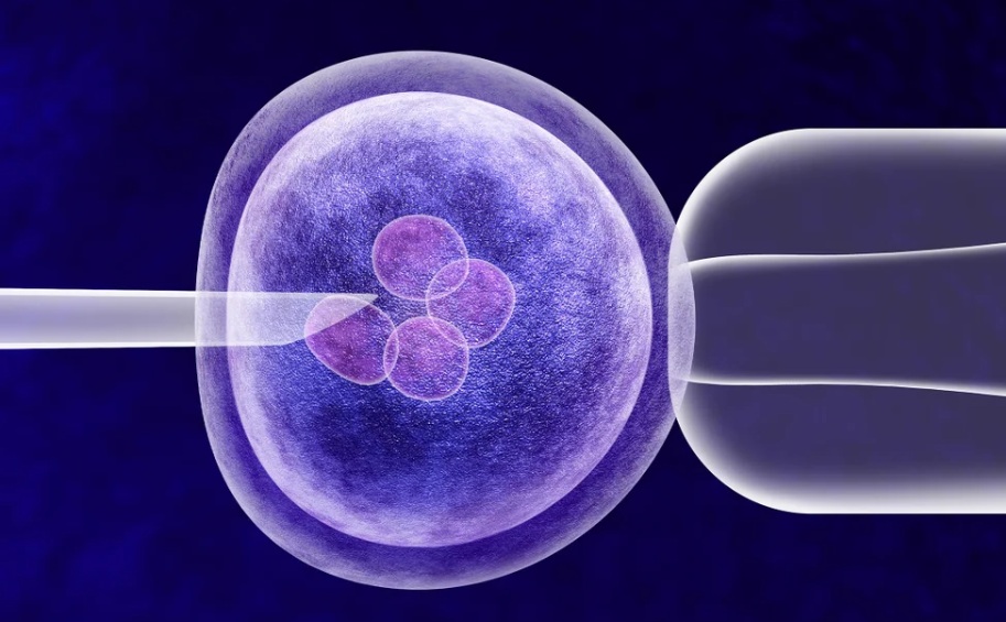 British Pioneers "Three-Parent IVF," Welcoming Healthy Babies Free of Genetic Disease