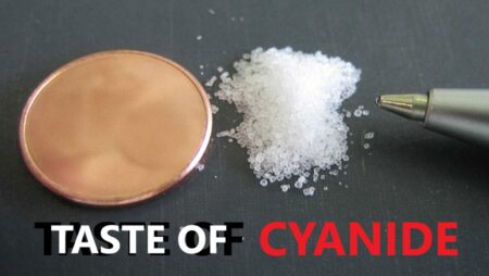 The Final Taste: The Story of a Man Who Unlocked Cyanide's Secret
