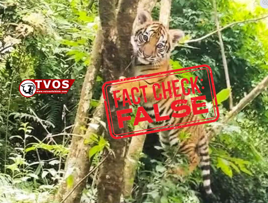 Sikkim Fooled by a Digital Tiger Again: When AI’s “Cub” Sent Humans Running