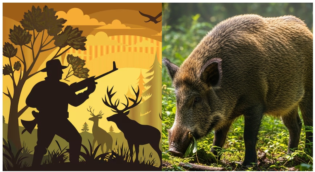 Youth Dies After Accidental Firing of Traditional ‘Khadwa’ Gun in Pakyong