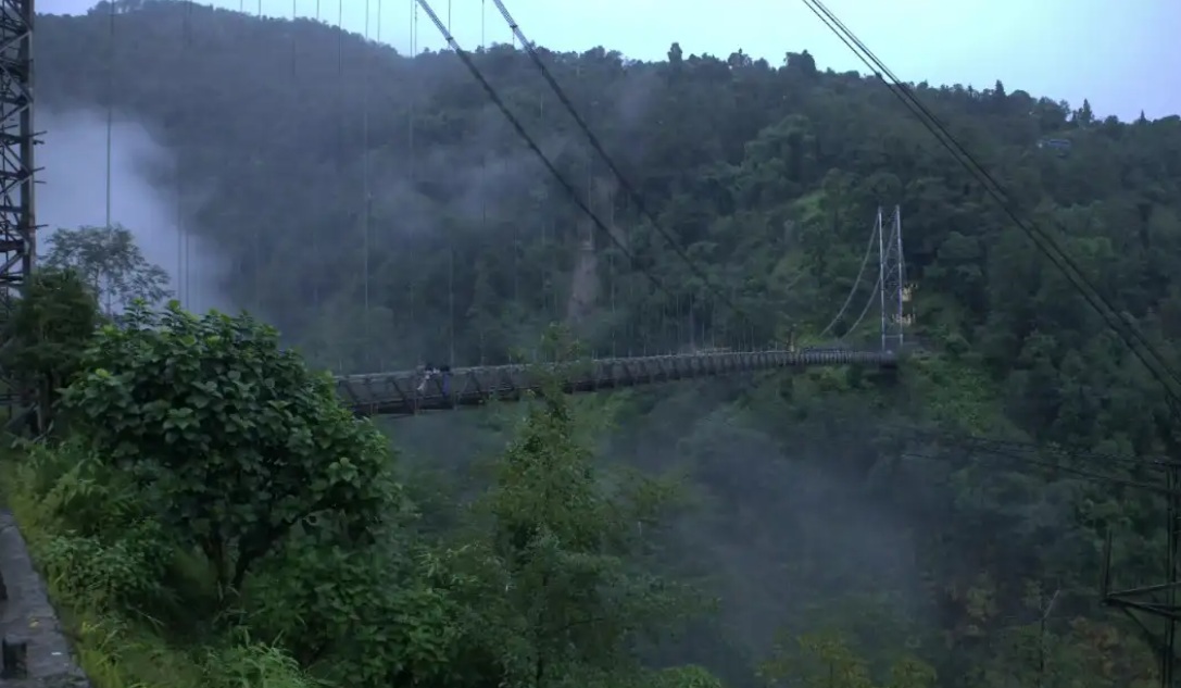 Tragedy at Singshore: Uttarey Food Godown In-Charge Loses Life as Vehicle Plunges 400 Feet