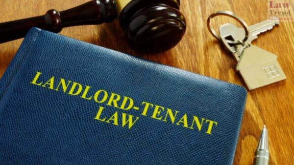 Can a Tenant Seize Ownership? India's Surprise Property Law Twist Can a Tenant Seize Ownership? India's Surprise Property Law Twist