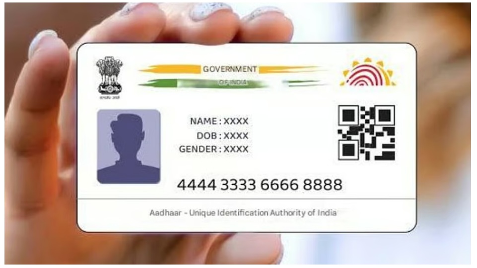 Aadhaar Online Verification: A Step-by-Step Guide to Confirm Your Linked Mobile Number and Email