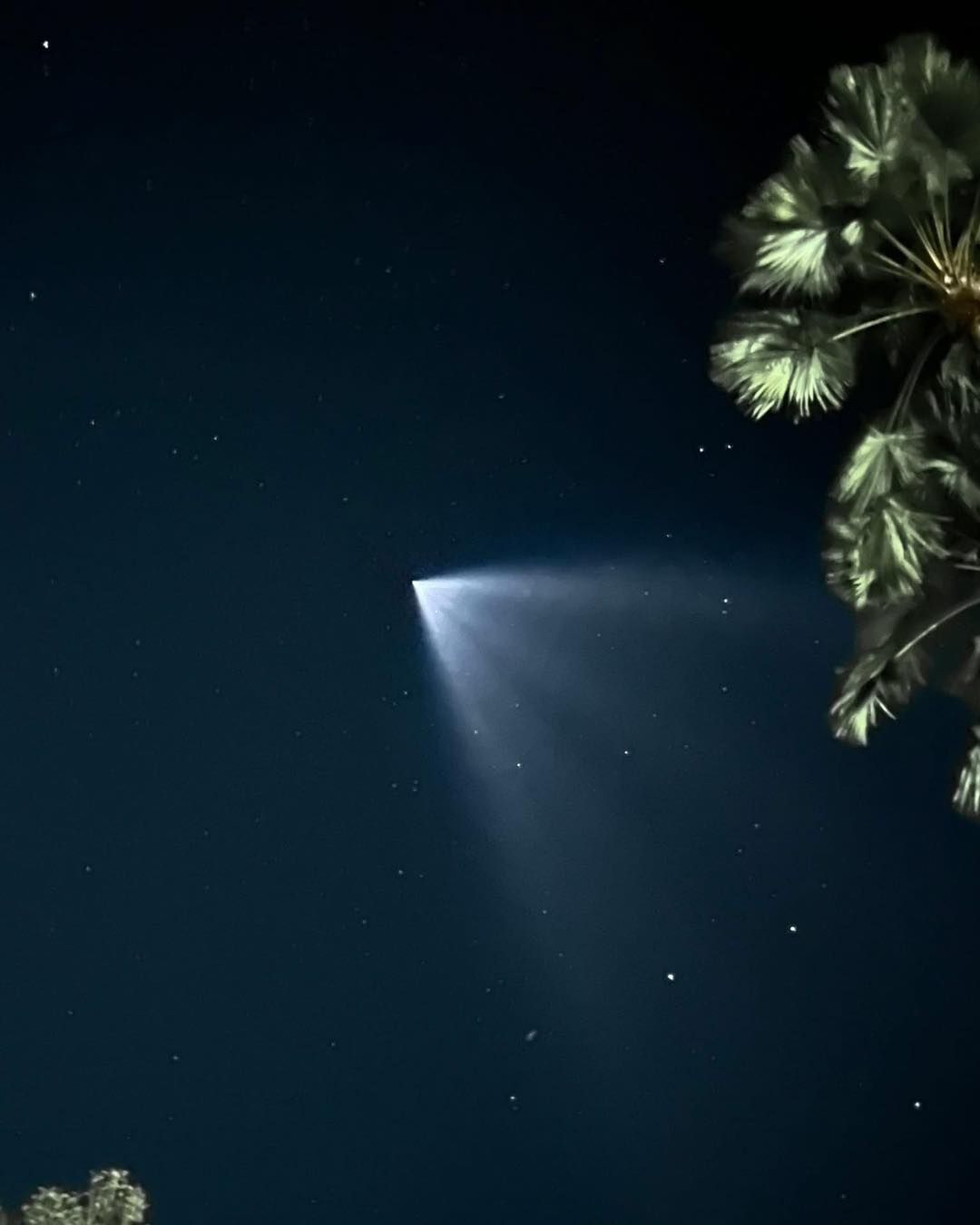 Mystery of Jellyfish Flashlight in the Sky Solved